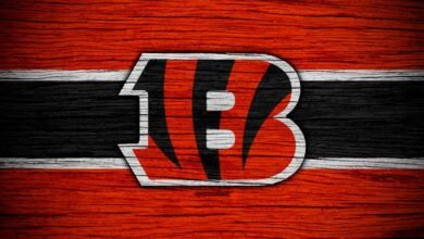 Logo:4cyu10og2pa= Bengals