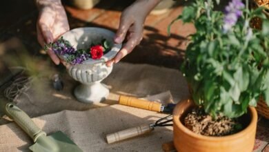 enhance growth with tools